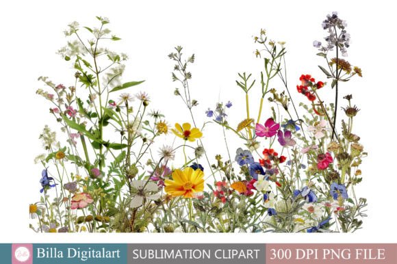 Download Free Wild Flowers Floral Border Clipart - Floral border clipart Collection